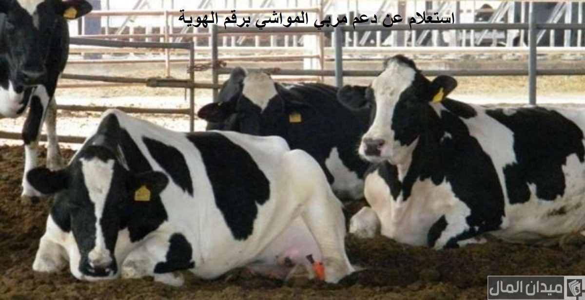 خطوات الاستعلام عن دعم مربي المواشي وزارة الزراعة بالسجل المدني ورقم الهوية