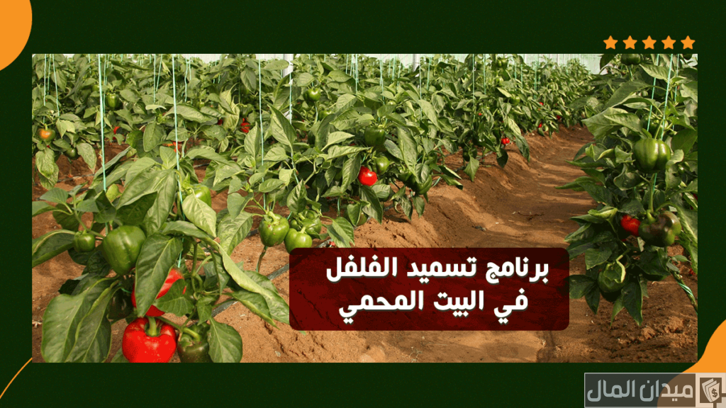 برنامج تسميد الفلفل في البيوت المحمية بالتنقيط