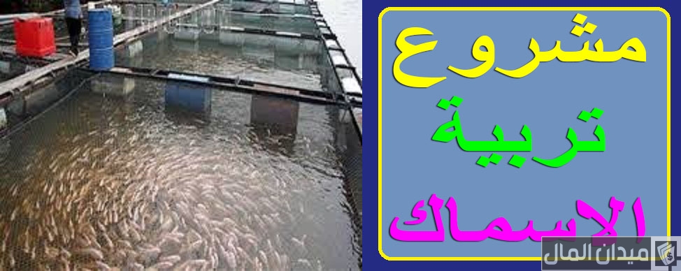 دراسة جدوى تربية الاسماك على الأسطح