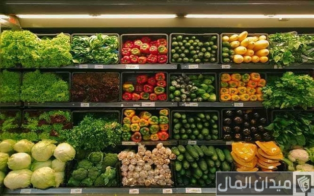دراسة جدوى دراسة جدوى مشروع محل خضار في المغرب