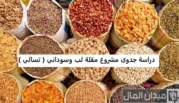 دراسة جدوى مشروع مقلة لب وسوداني