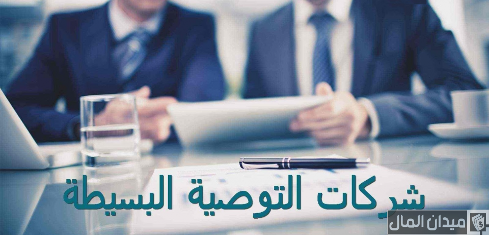ما هي شركة التوصية البسيطة ومميزاتها وعيوبها