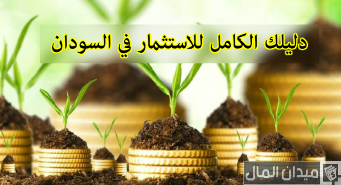 شروط الاستثمار في السودان