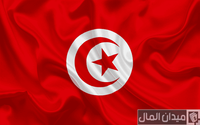 خطوات وإجراءات إنشاء شركة استيراد وتصدير في تونس