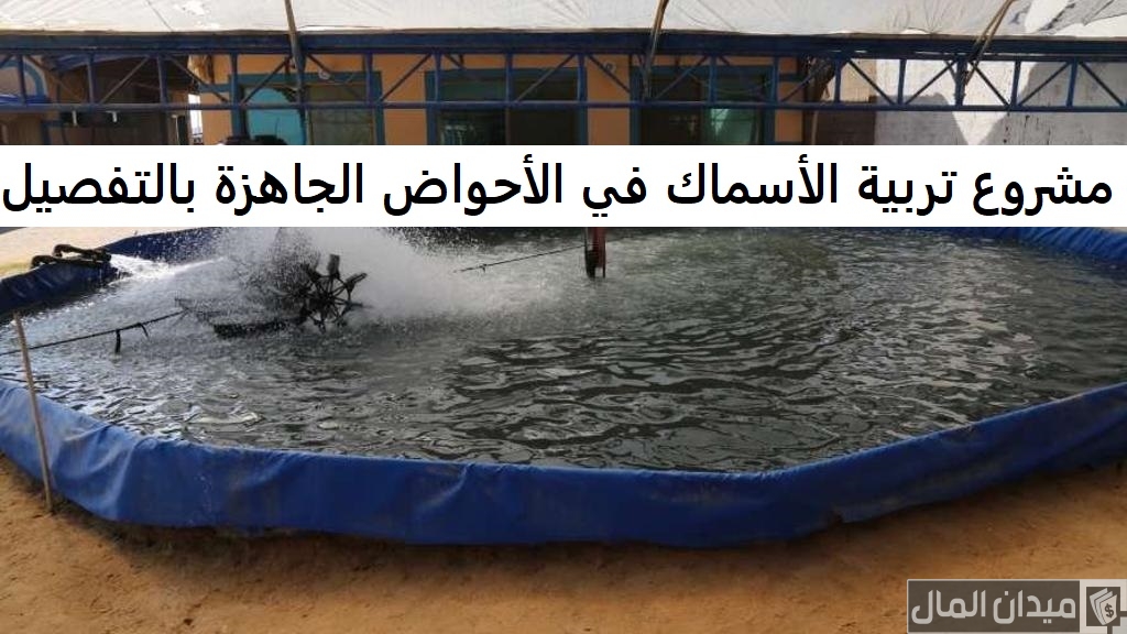 دراسة مشروع تربية الأسماك في الأحواض وأرباح المشروع