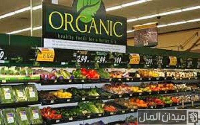 دراسة جدوى سوبر ماركت اورجانيك وأرباح المشروع