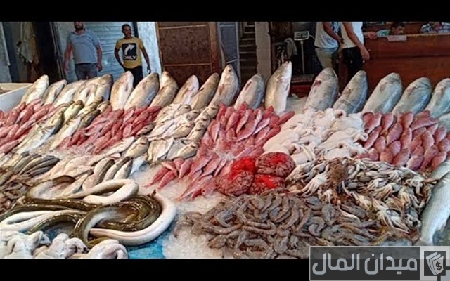 عناوين أماكن بيع السمك بالجملة في مصر