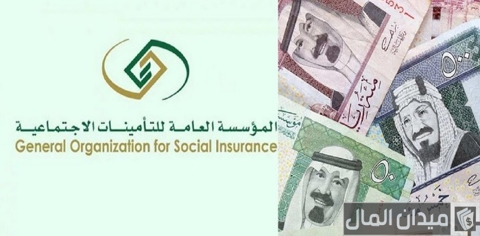 اضرار التسجيل في التأمينات