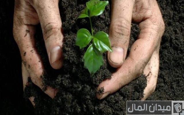 أهمية الزراعة في الوطن العربي وأهم المشكلات