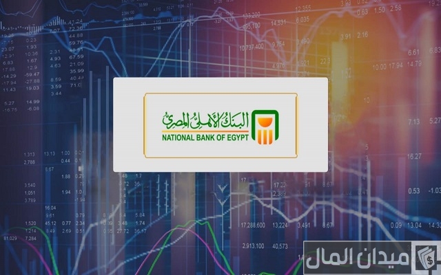 أسماء الشركات التابعة للبنك الاهلى المصرى