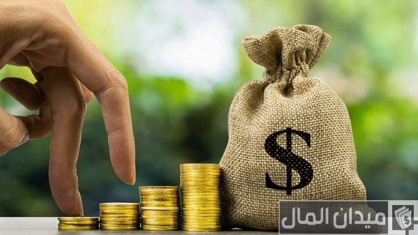 ما الفرق بين الأرباح المرحلة والأرباح المحتجزة