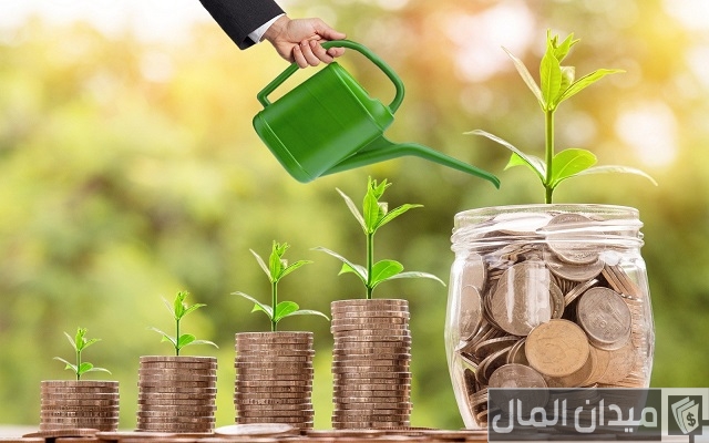 أسماء شركات التمويل متناهي الصغر في مصر بالترتيب