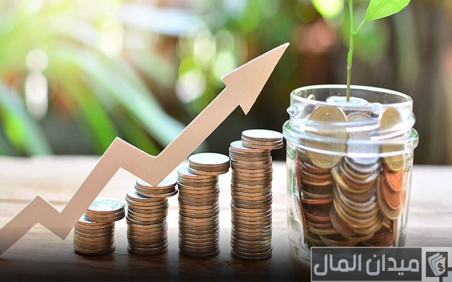 دراسة جدوى الصندوق الاجتماعي للتنمية