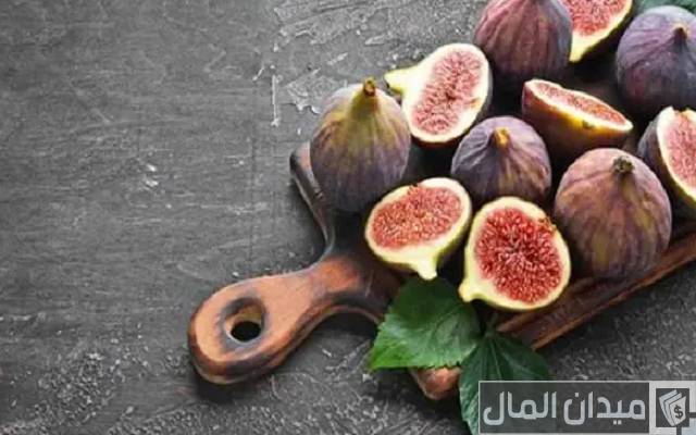 دراسة جدوى زراعة التين البرشومي وكم ينتج الفدان