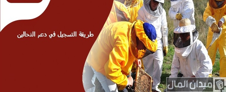 شرح التسجيل في دعم النحالين في السعودية