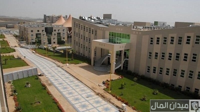 شروط التحويل من تخصص إلى تخصص جامعة طيبة
