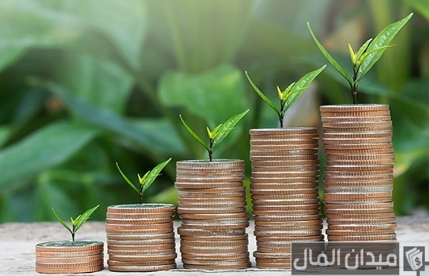 شروط الاستثمار الأجنبي في السعودية ؛ قائمة الأنشطة المسموح بها