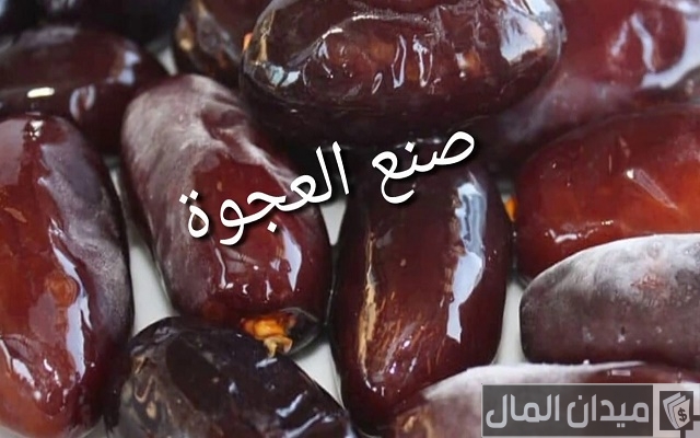مشروع صناعة قوالب العجوة من البلح وأرباح المشروع