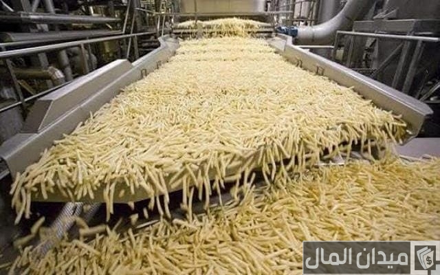 دراسة جدوى مشروع البطاطس نصف مقلية وأرباح المشروع