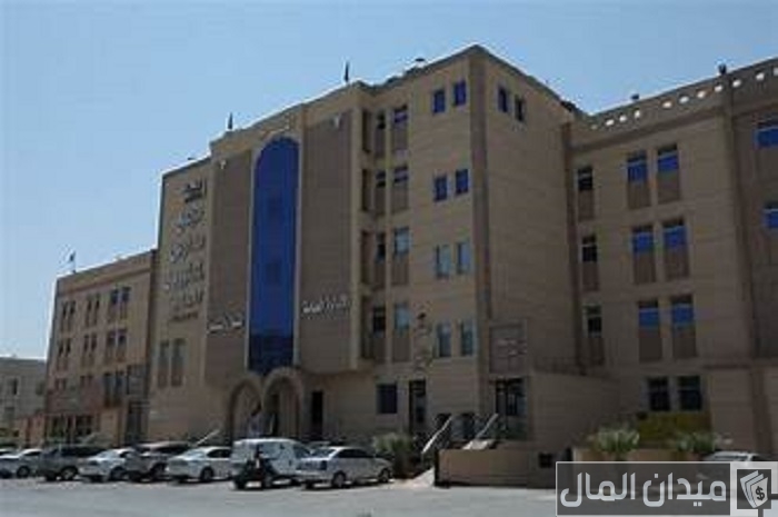 رسوم مدارس المطورون في لبن