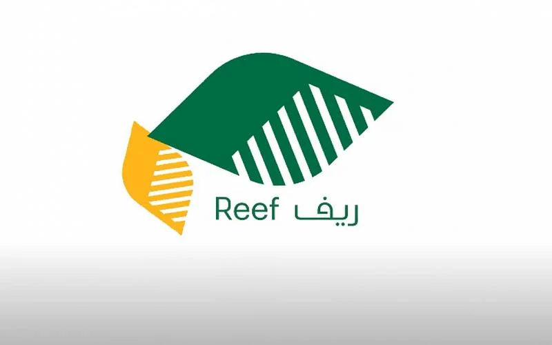 شروط الحصول على دعم النحالين
