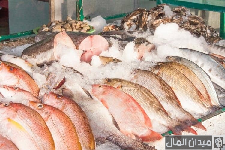 دراسة مشروع تجارة الأسماك في مصر وأرباحه