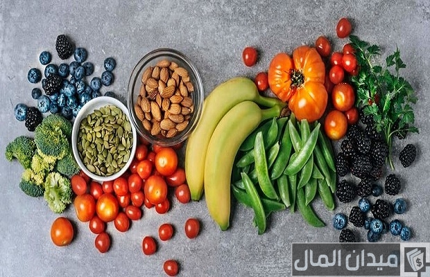 دراسة جدوى مشروع مدونة او موقع عن الرجيم والتخسيس وطرق الربح منها