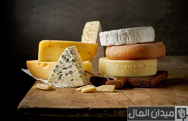 دراسة جدوى مشروع صناعة الجبن وأرباح المشروع