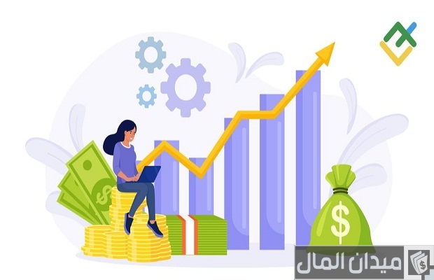 أسماء شركات استثمار الاموال عبر الانترنت