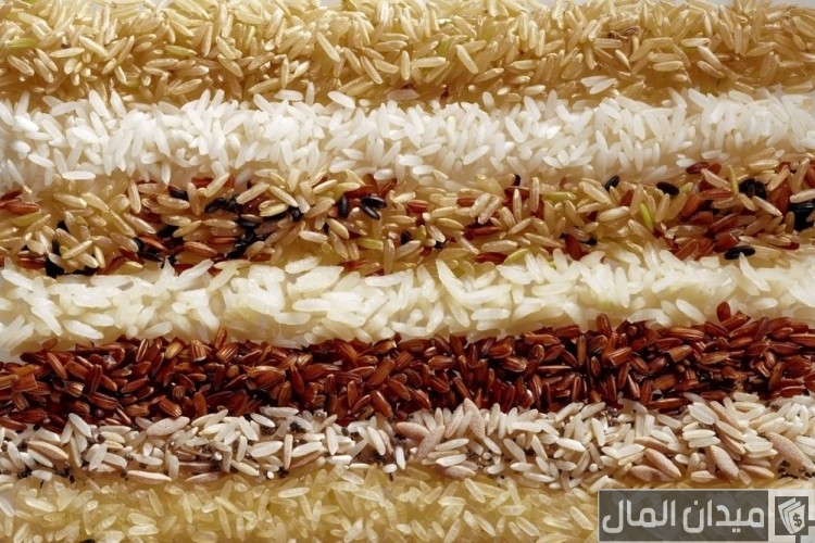 أنواع الأرز البسمتي ونصائح اختيار النوع المناسب