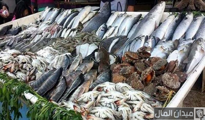 أسعار السمك اليوم الاحد 21-4-2025 في مصر