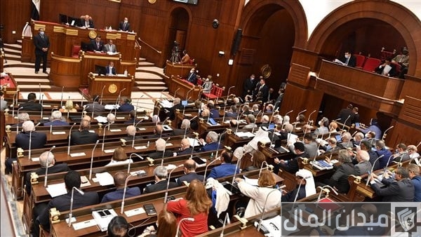 “مجلس الشيوخ” يناقش سياسة الحكومة المالية والضريبية في تحقيق التنمية الاقتصادية