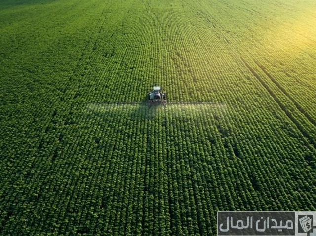 مشاريع زراعية ناجحة مشاريع زراعية ناجحة