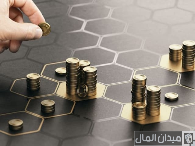 معدل العائد على رأس المال معدل العائد على رأس المال