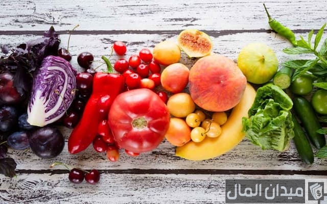 زراعة الخضروات في مصر