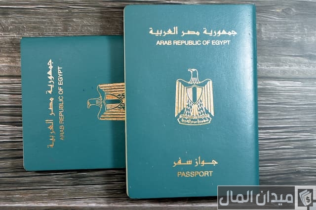 جواز السفر المصري