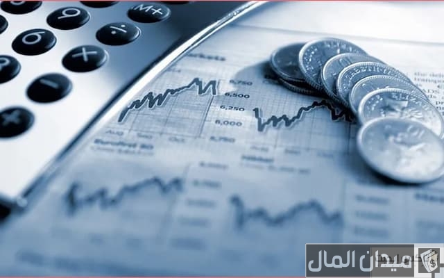 تأسيس شركة فردية في مصر تأسيس شركة فردية في مصر