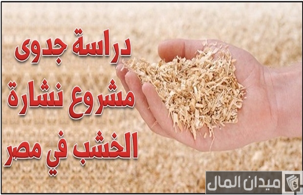 هل مشروع نشارة الخشب فاشل أم مربح؟.. “ميدان المال” يجيب