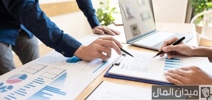 نوع تقرير الإنجازات السنوي لنتائج أعمال الشركة