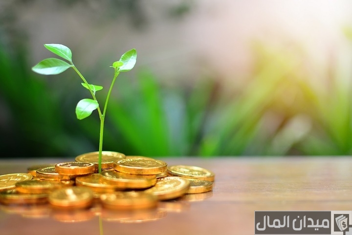 نصائح للحفاظ على قيمة المال من التضخم