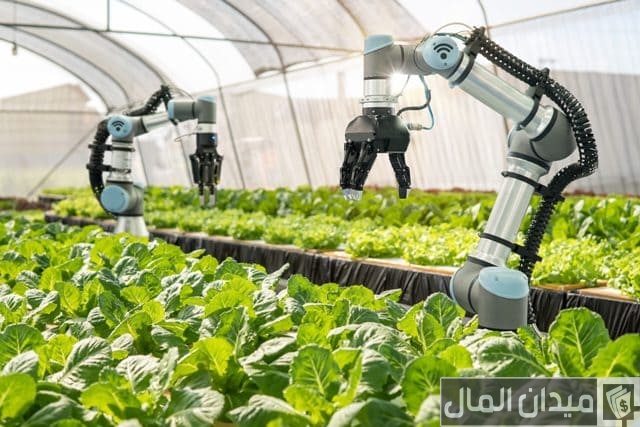 نموذج دراسة جدوى مشروع زراعي جاهز