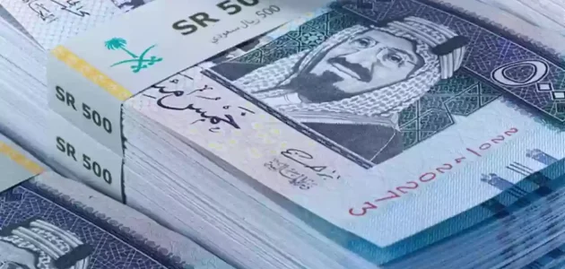 رواتب الموظفين بعد الخصخصة