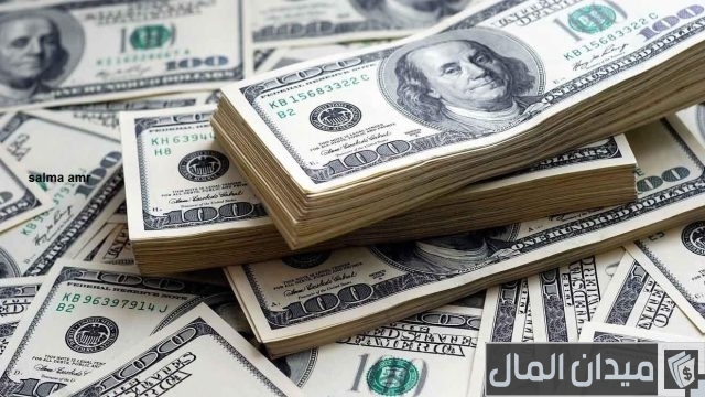 سعر الدولار في مصر