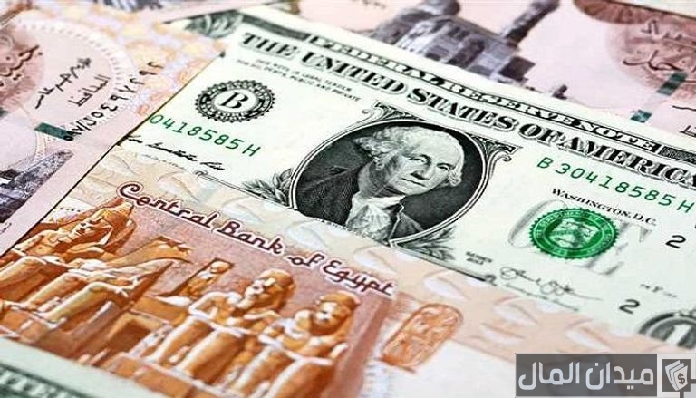 توقعات خبراء الاقتصاد عن سعر الدولار في مصر 2025
