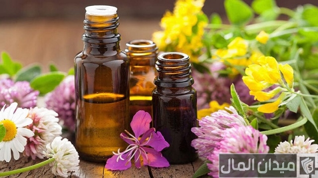 شركات تصدير النباتات الطبية