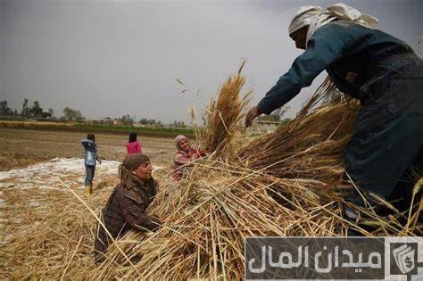 “كهرباء السعودية” تحدد شروط إيصال الكهرباء للمزارع في السعودية