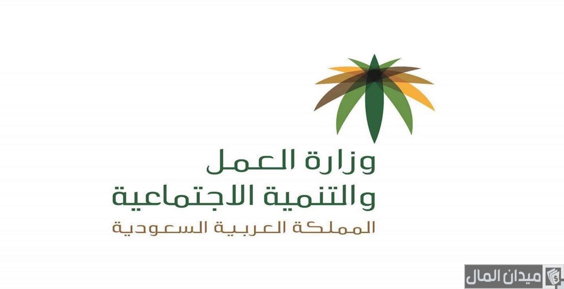 “الموارد البشرية” تحدد شروط وخطوات نقل الكفالة للأفراد