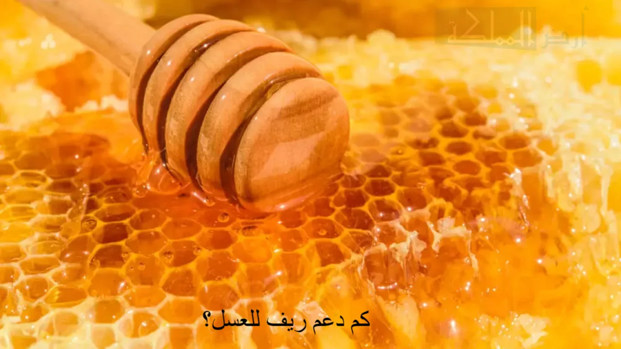 كم دعم ريف للعسل وشروط استحقاق دعم النحالين ريف