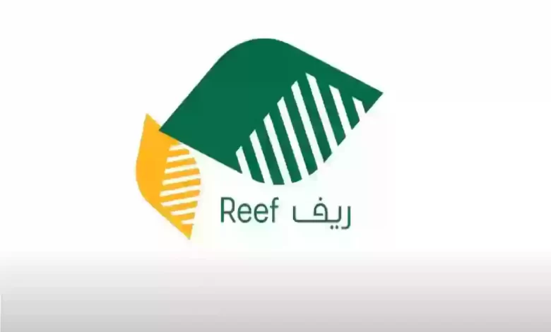 كم دعم ريف للمواشي.. وخطوات التسجيل فى دعم المواشي الجديد من ريف 1446 reef.gov.sa