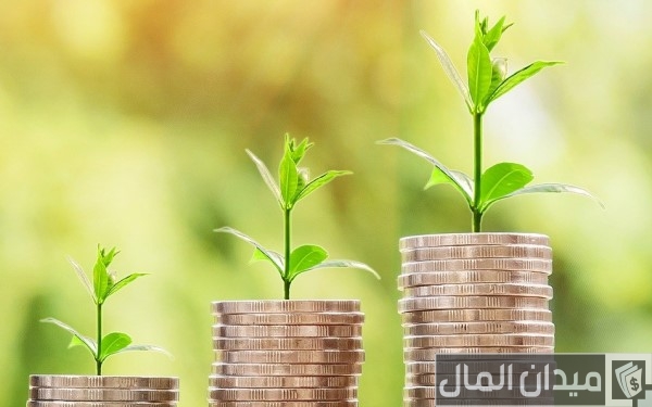 كيف تصبح تاجر بدون رأس مال؟.. “ميدان المال” يجيب